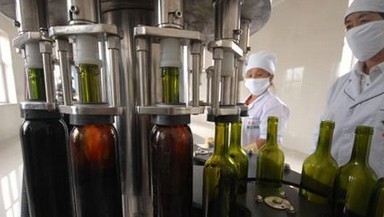 Remplisseur de bouteille machine de remplissage de vin/d'équipement/vin adaptés aux besoins du client d'embouteillage du vin